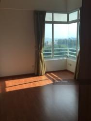 The Atria At Meyer (D15), Condominium #114201162